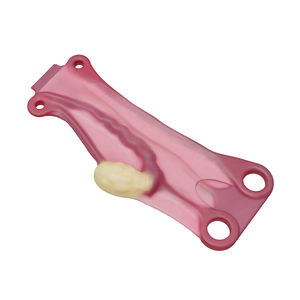 modelo anatómico uterino