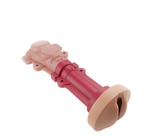 modelo anatómico vaginal