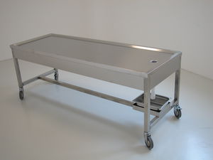 carro mortuorio