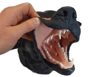 simulador para odontología / canino / cabeza