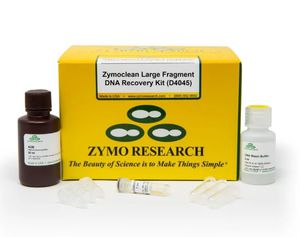 kit de reactivos gel de agarosa 1