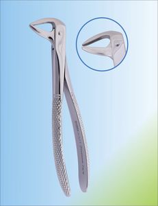 fórceps de extracción para raíz dental 1