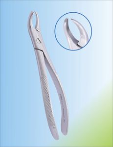 fórceps de extracción dental para molares superiores / americano