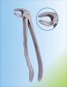 fórceps de extracción dental para molares inferiores 1