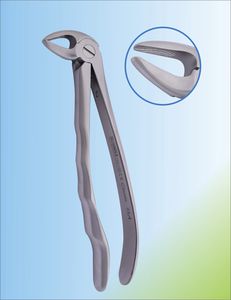 fórceps de extracción para raíz dental 1