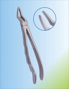 fórceps de extracción para raíz dental 1