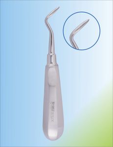 luxador dental curvo