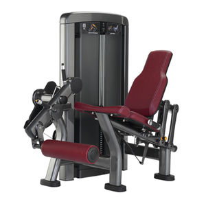 estación de musculación extensión de piernas