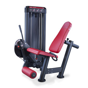 máquina de musculación extensión de piernas 1