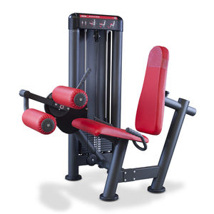 máquina de musculación curl de piernas 1