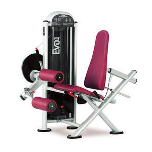 máquina de musculación curl de piernas 1