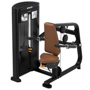 máquina de musculación extensión de tríceps