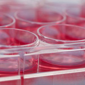 kit de reactivos para la investigación