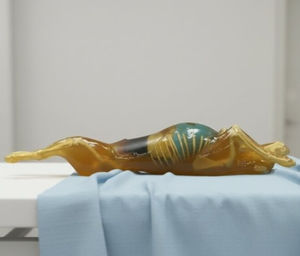 fantoma para prueba veterinaria para escáner de rayos X