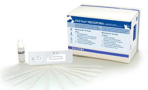 prueba rápida de Neospora caninum 1