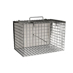 jaula veterinaria 1