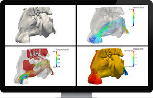 software de anatomía