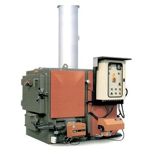 incinerador para hospitales / de desechos