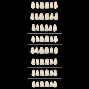 prótesis dental de fibra acrílica