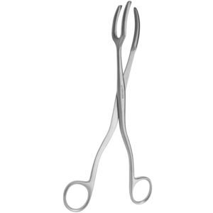 pinza dental