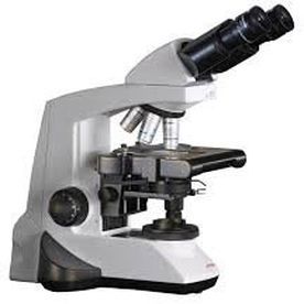 microscopio óptico