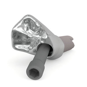 tornillo prostodóntico