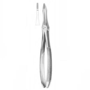 fórceps de extracción para raíz dental