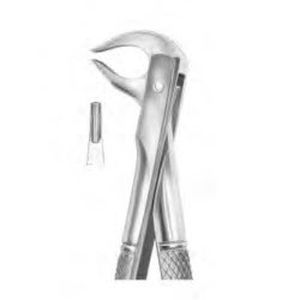 fórceps de extracción dental para premolares