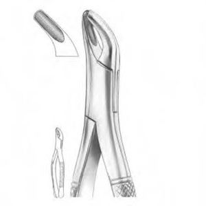 fórceps de extracción dental para molares