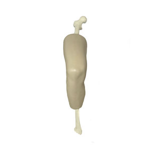 modelo anatómico de rodilla