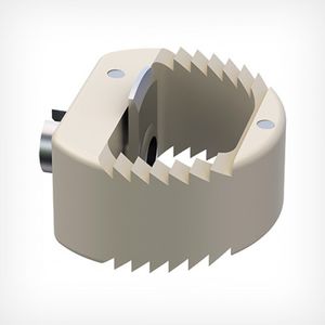 caja intersomática cervical