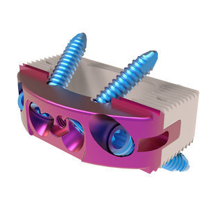 caja intersomática toracolumbar 1