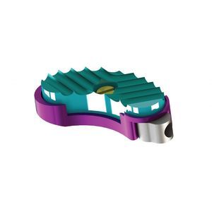 prótesis de disco lumbar