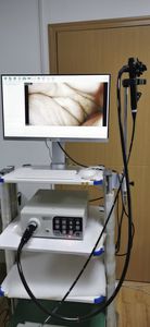 gastroscopio veterinario