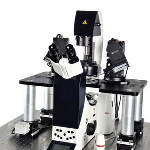 sistema patch-clamp con microscopio invertido 1