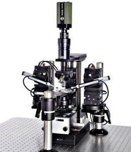 microscopio óptico