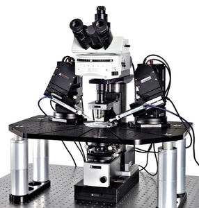 microscopio para la investigación