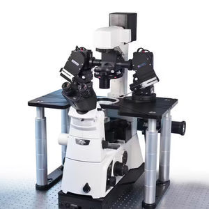 sistema patch-clamp con microscopio invertido 1