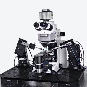 sistema patch-clamp 1