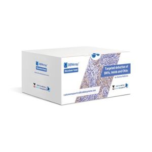 kit de reactivos NGS