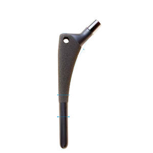 vástago femoral no cementado