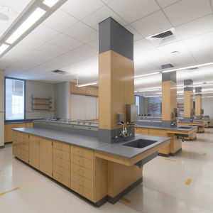 plataforma de trabajo de laboratorio 1