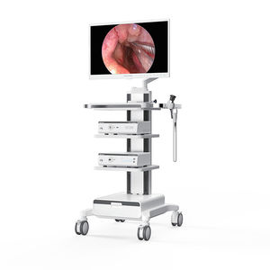 monitor para endoscopia 1