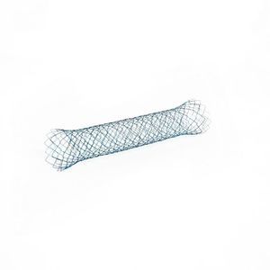 stent duodenal