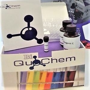 kit de reactivos para cuantificación de ADN