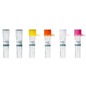 kit de reactivos solución de dNTP