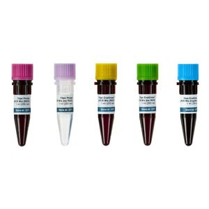 reactivo para la investigación / para microbiología / para qPCR / para cuantificación de ADN