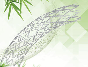 stent arteria coronaria 1