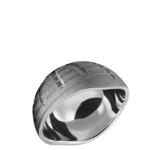prótesis acetabular cementada
