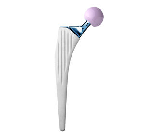 vástago femoral no cementado